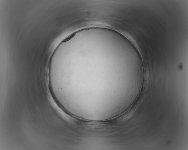 X0000116681391200912291710