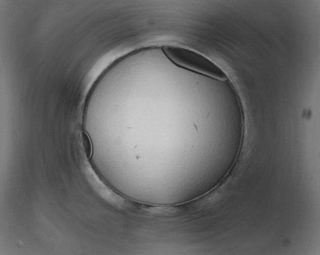 X0000116681392200912291710