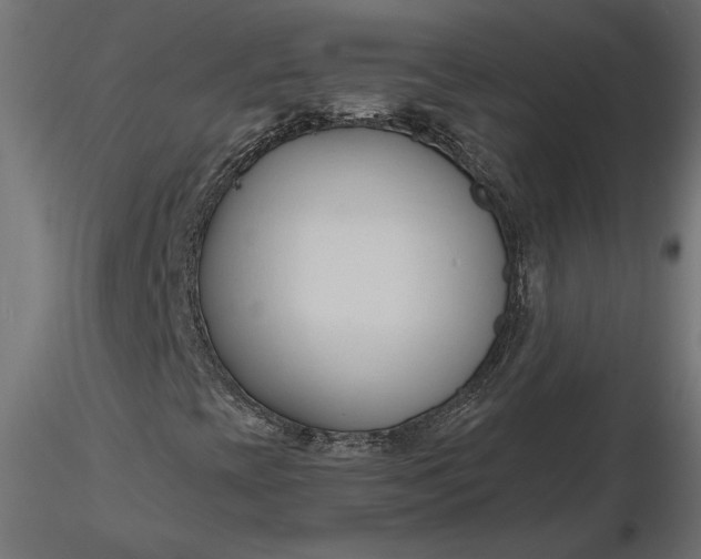 X0000116681393200912291709