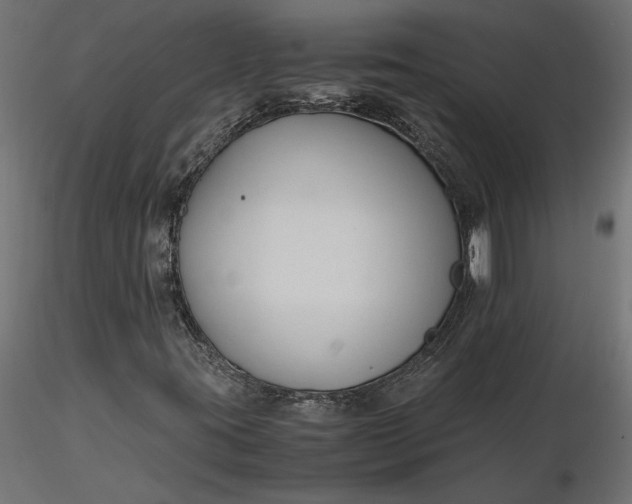 X0000116681395200912291709