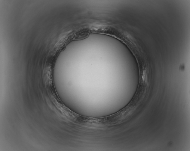 X0000116681396200912291709