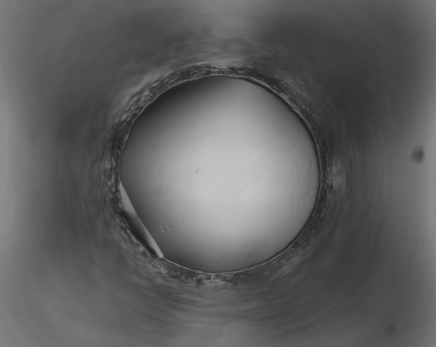 X0000116681398200912291709