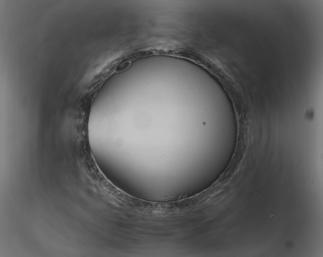 X0000116681399200912291709