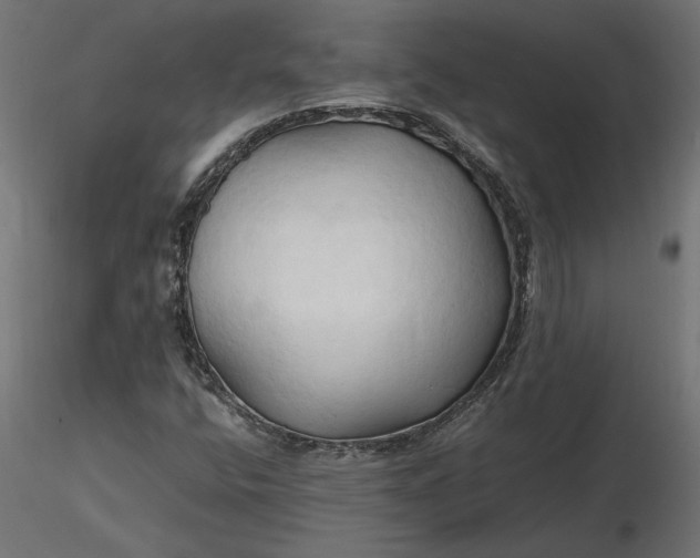 X0000116681400200912291709