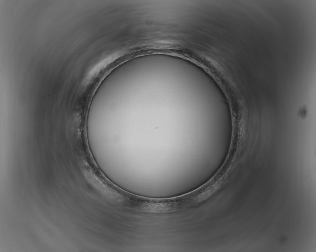 X0000116681402200912291709