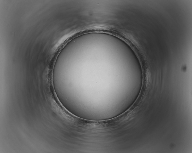 X0000116681404200912291709