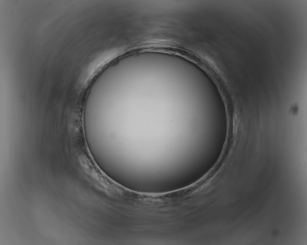 X0000116681405200912291709