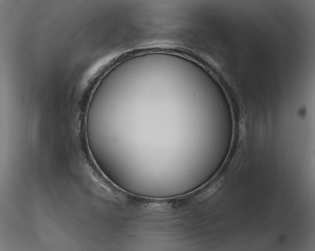 X0000116681406200912291709