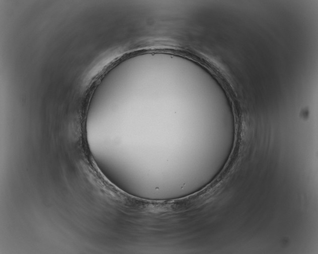 X0000116681407200912291709