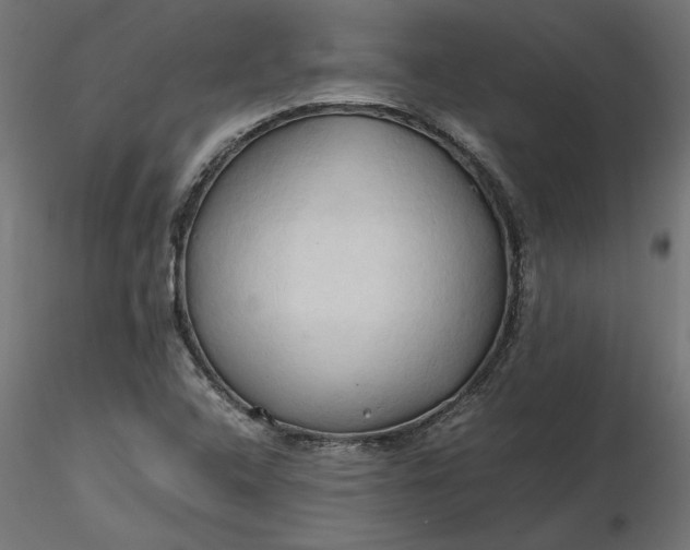 X0000116681408200912291709