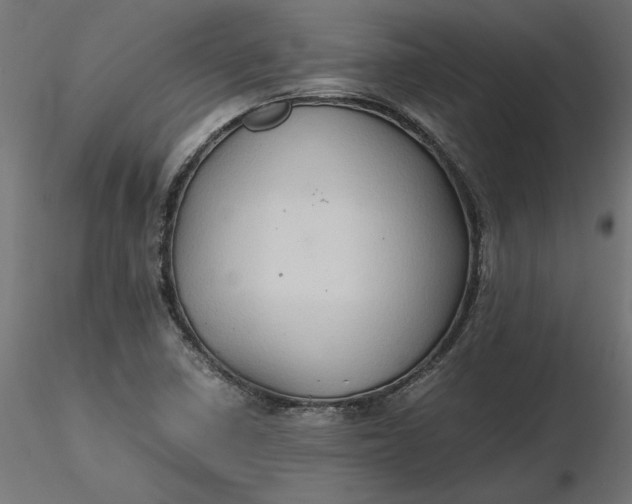 X0000116681410200912291709