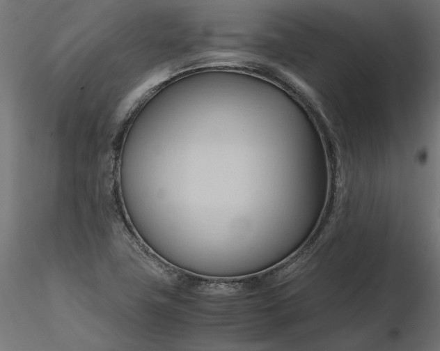 X0000116681411200912291709