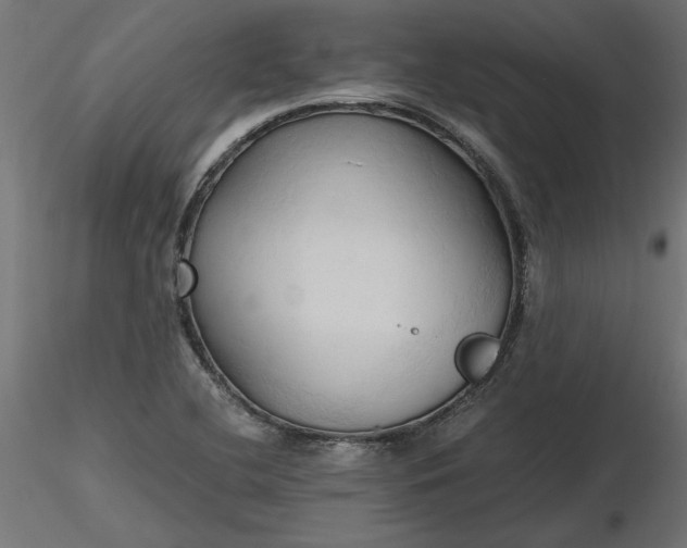 X0000116681412200912291709