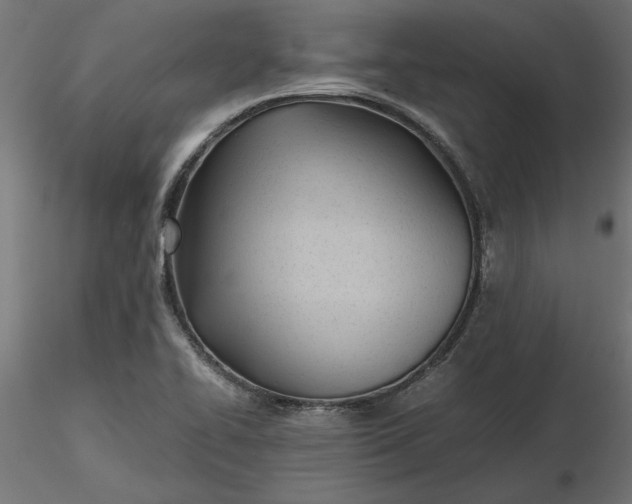 X0000116681414200912291710