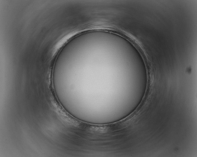 X0000116681415200912291710