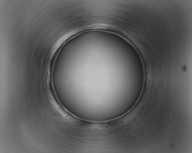 X0000116681418200912291710