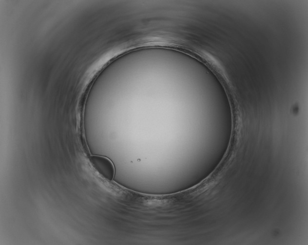 X0000116681419200912291710