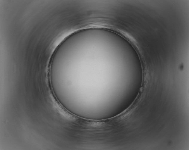 X0000116681423200912291710