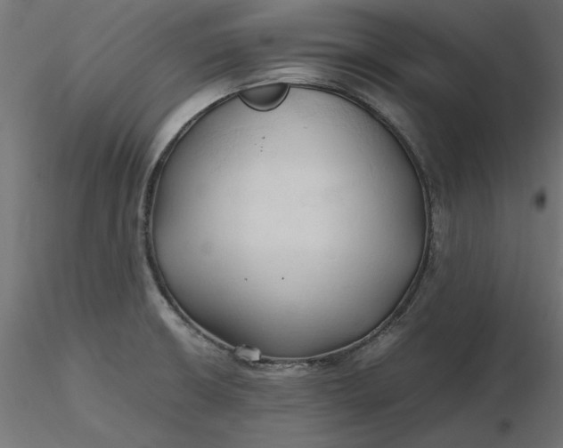 X0000116681426200912291710