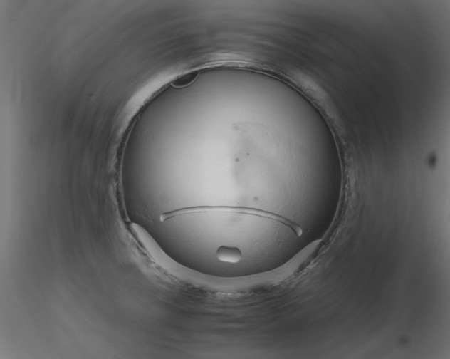 X0000116681427200912291710