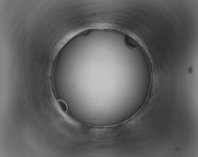 X0000116681429200912291710