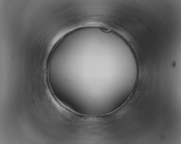 X0000116681430200912291710