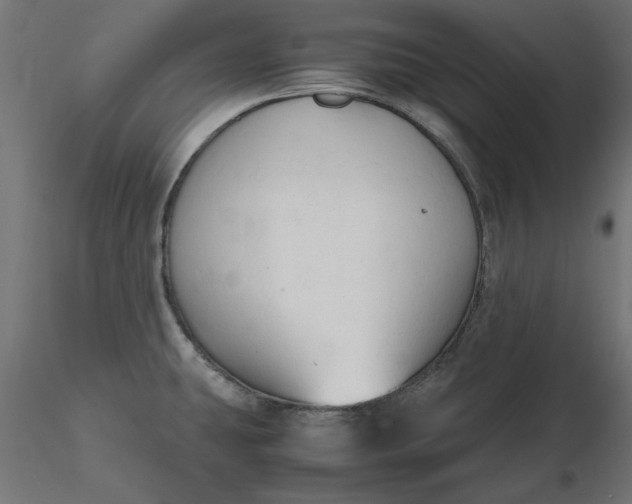 X0000116681431200912291710