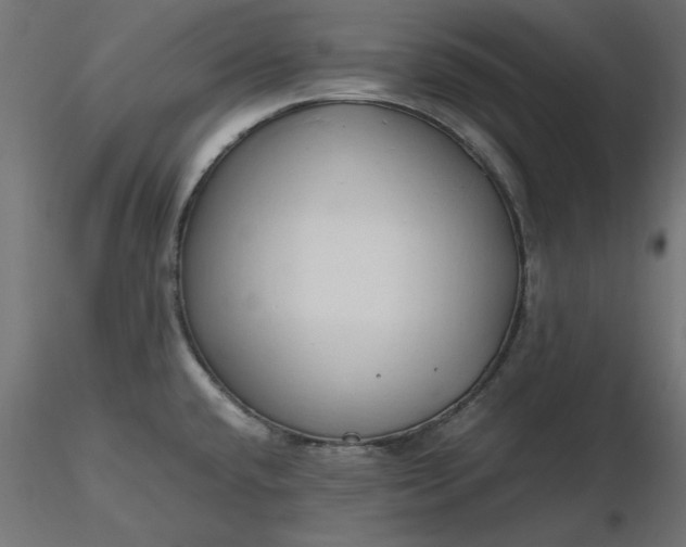 X0000116681432200912291710