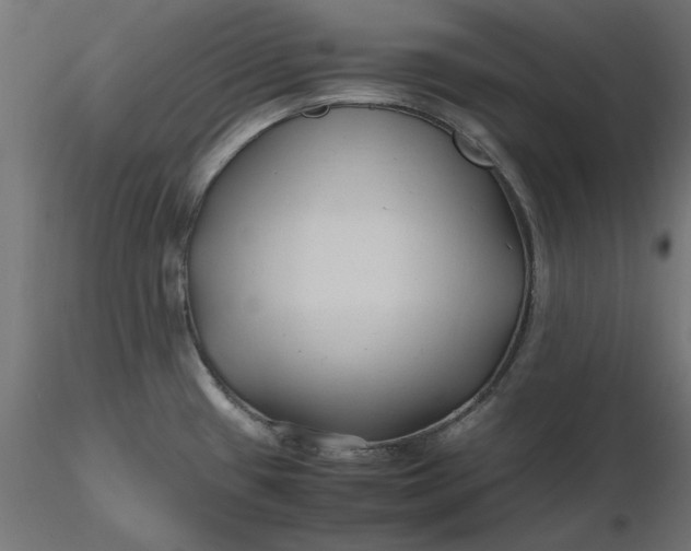 X0000116681433200912291710