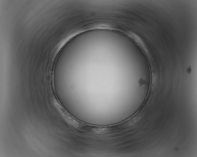 X0000116681435200912291710