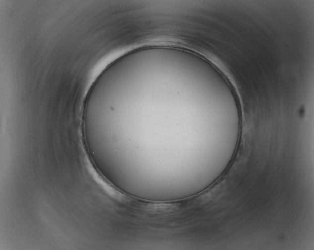 X0000116681437200912291710