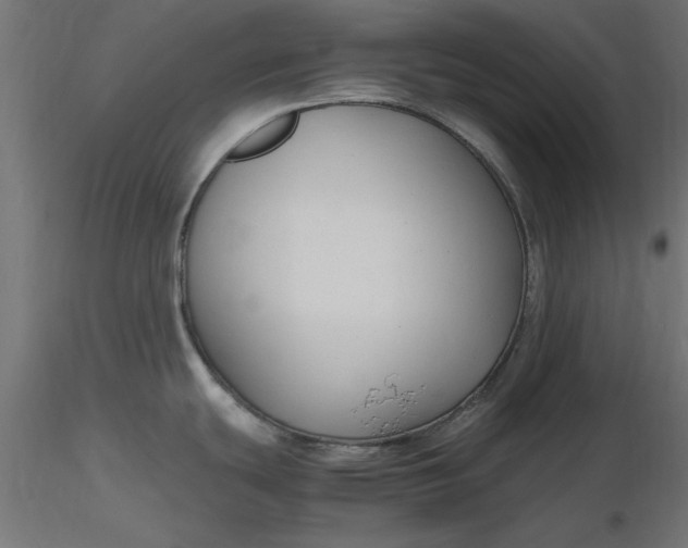 X0000116681439200912291710