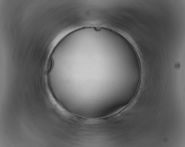 X0000116681440200912291710