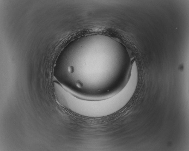 X0000116681441200912291709