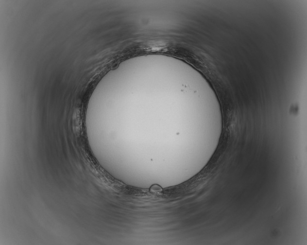 X0000116681442200912291709