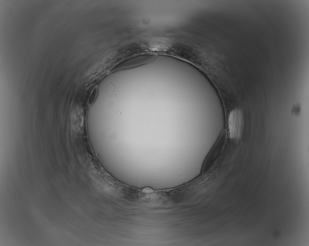 X0000116681443200912291709