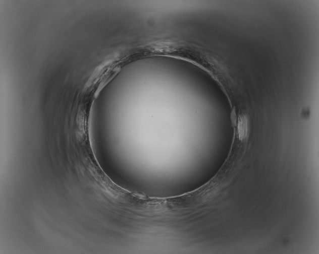 X0000116681444200912291709