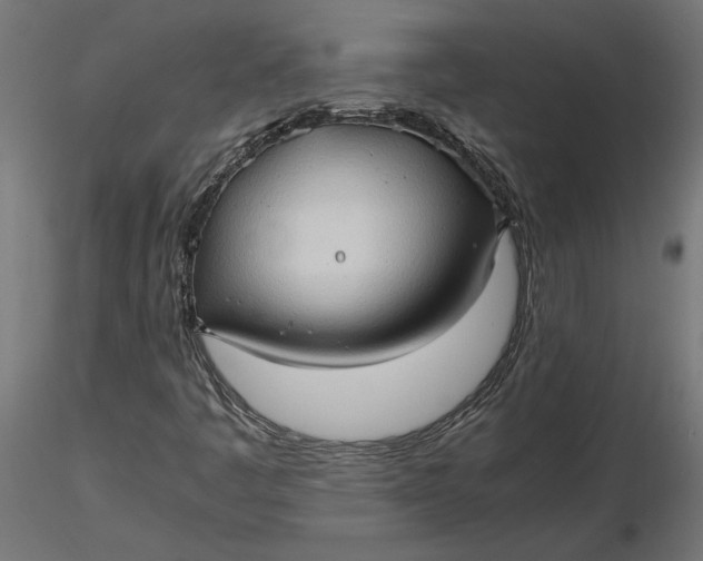 X0000116681445200912291709