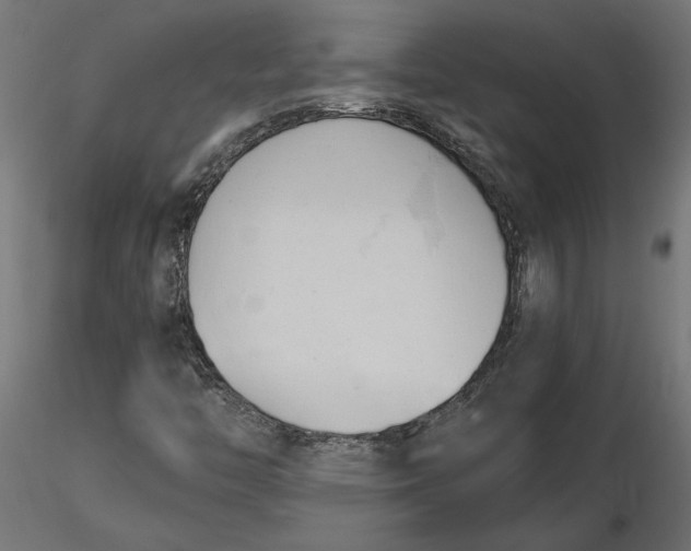 X0000116681446200912291709