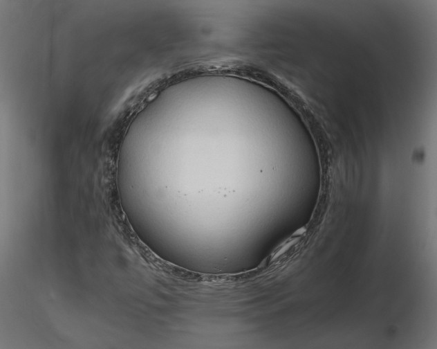 X0000116681447200912291709