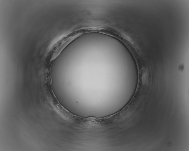 X0000116681448200912291709