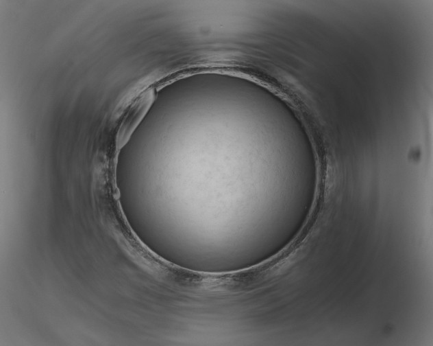 X0000116681449200912291709