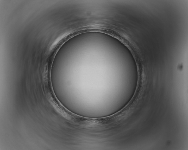 X0000116681450200912291709