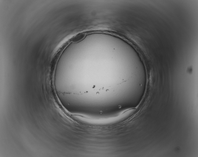 X0000116681452200912291709