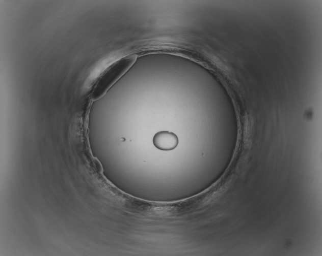 X0000116681453200912291709