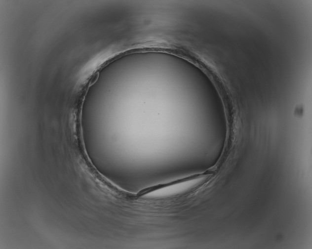 X0000116681455200912291709