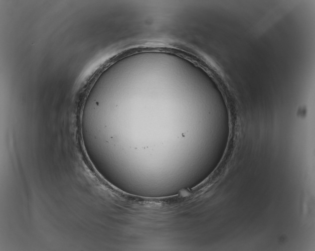 X0000116681456200912291709