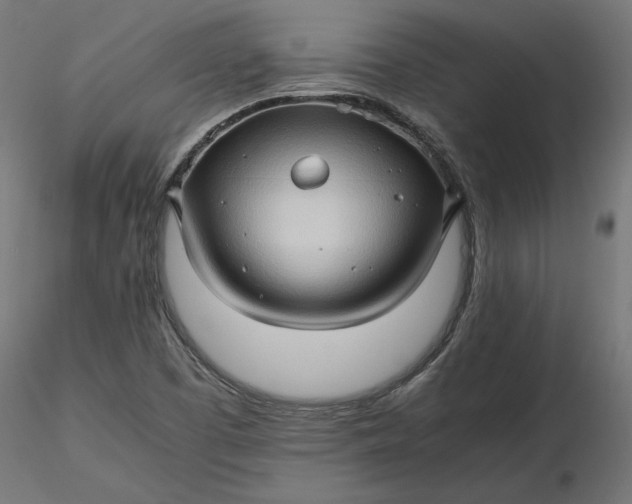 X0000116681457200912291709