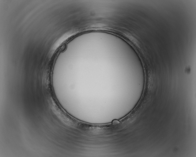 X0000116681458200912291709