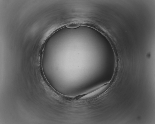 X0000116681459200912291709